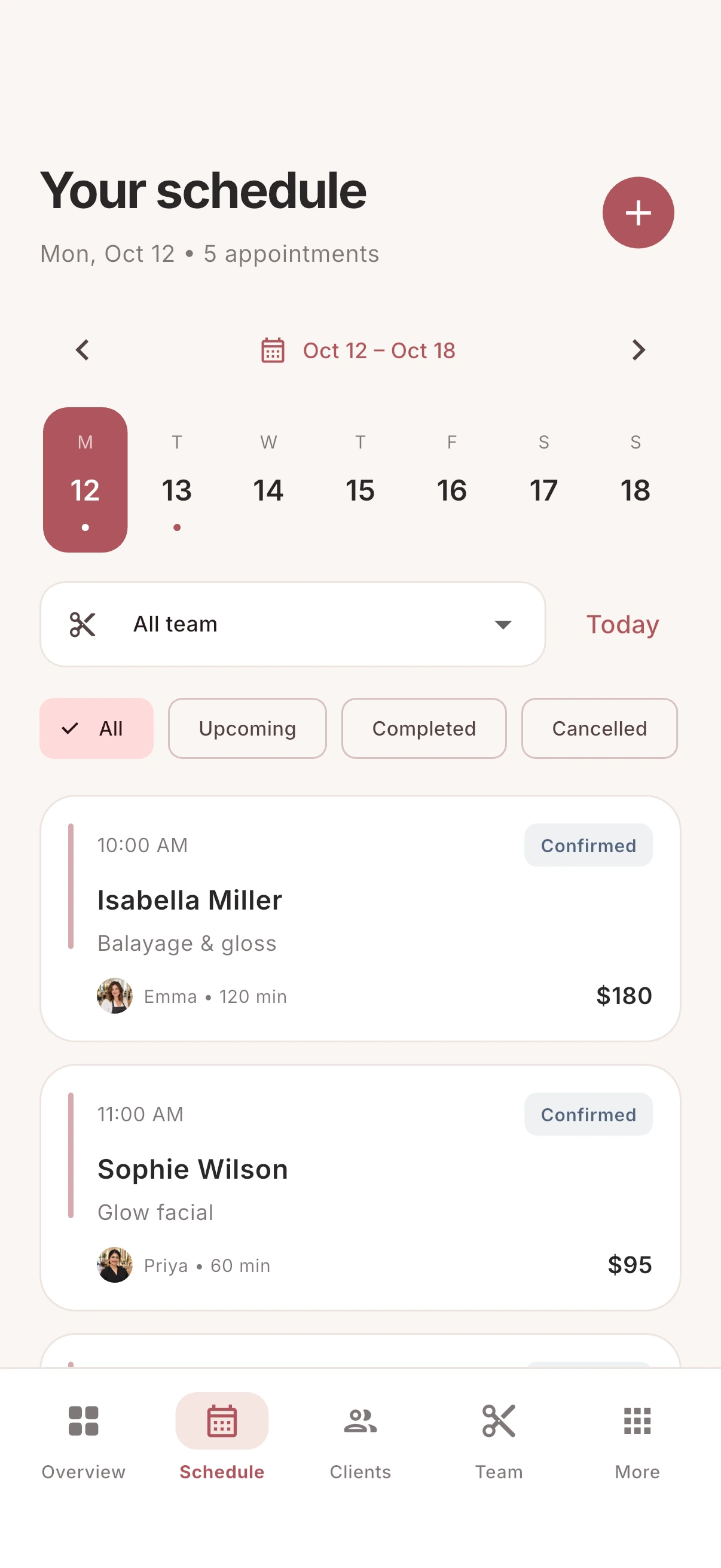 SalonFlow owner app showing daily appointments and team scheduling